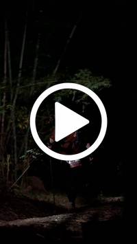 BIB:  <button type="button" onclick="openModal(28094301)" class="btn btn-primary btn-sm float-right" data-toggle="modal" data-target=".modal-high-quality">
                <i class="fa fa-download"></i> Download
                </button>